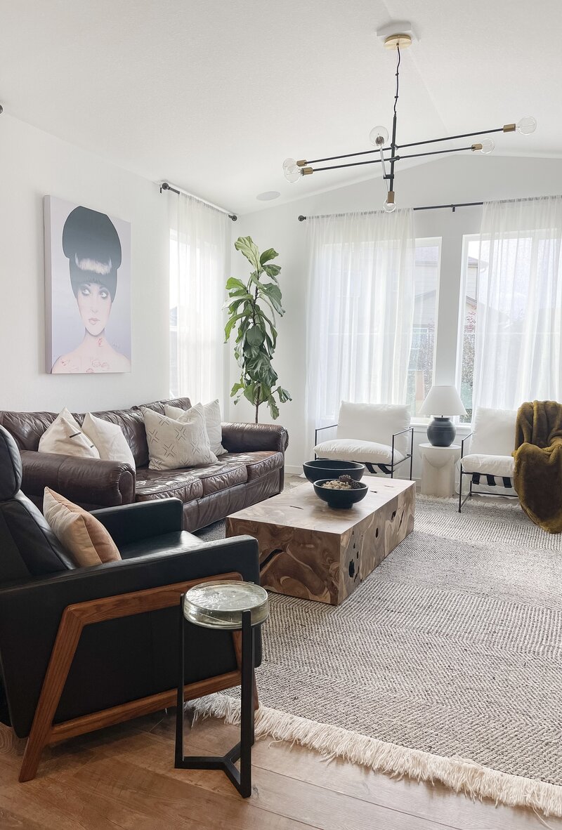 Living Room Ideas / Denver Colorado Interior Design / Teak and Amber Interiors