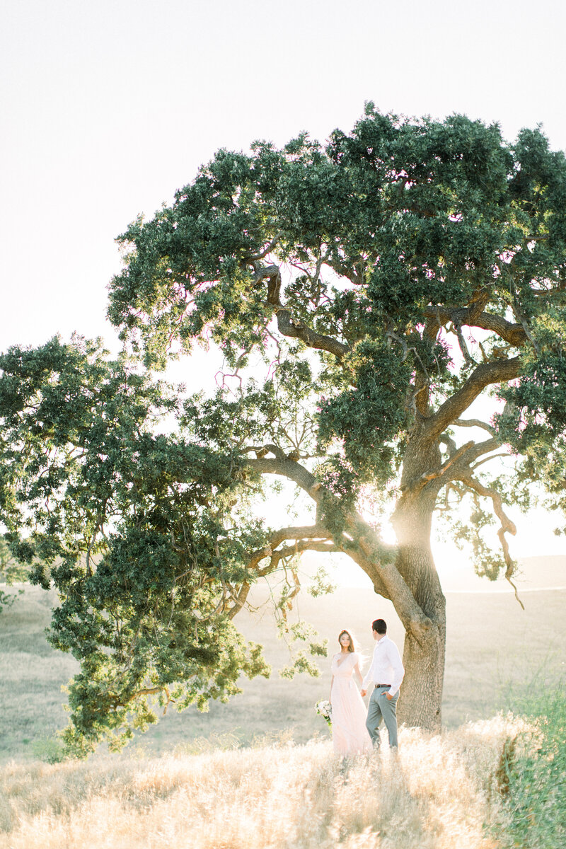 Santa Barbara Engagement | Kestrel Park Wedding | Palm Springs Wedding Photographer | Joshua Tree Elopement | Southern California Wedding Photographer -065