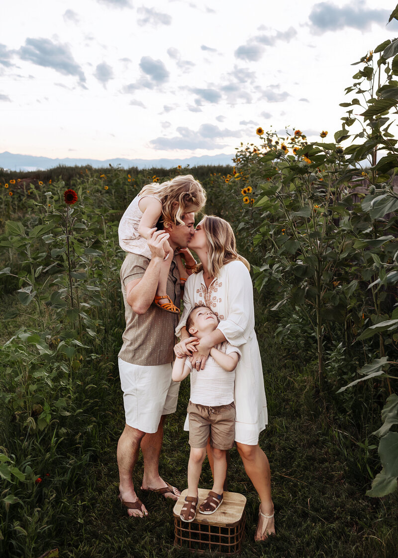 fun loving family session in sunflower field of windsor, co