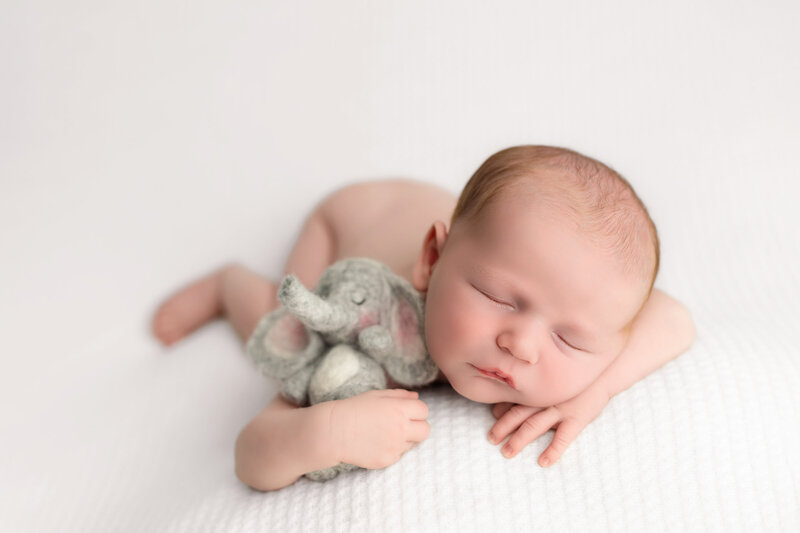 Heartfelt snuggles with a felt elephant—baby boy on white.