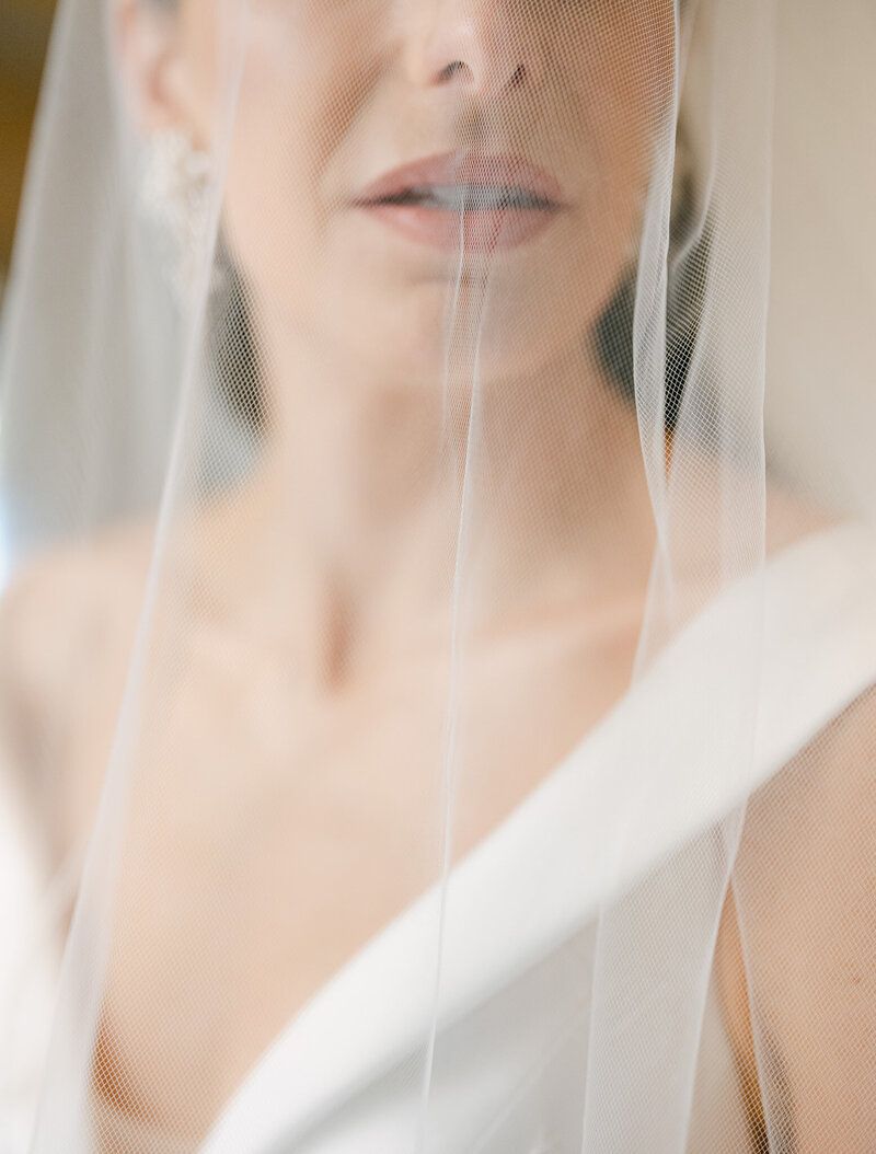 Close up of bride with veil