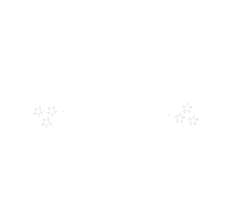 Amazing Colorado Photography. Capturing your unique love story. Engagements, Elopements, and Weddings.
