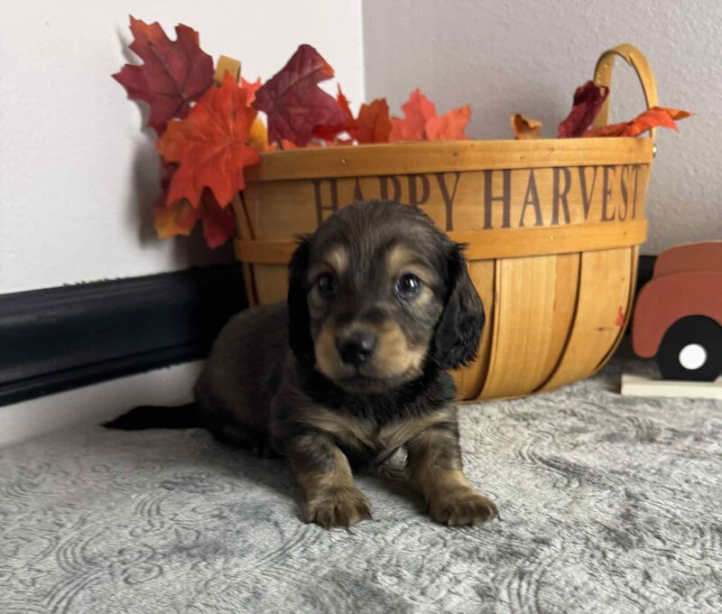 7b99b9ed-1b80-4fbd-b072-6a5b8d15b13d