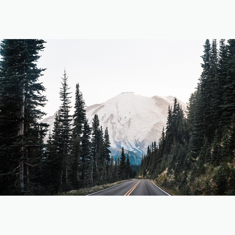 A road through Mt Rainier National Park with Mt Rainier framed by high alpine trees
