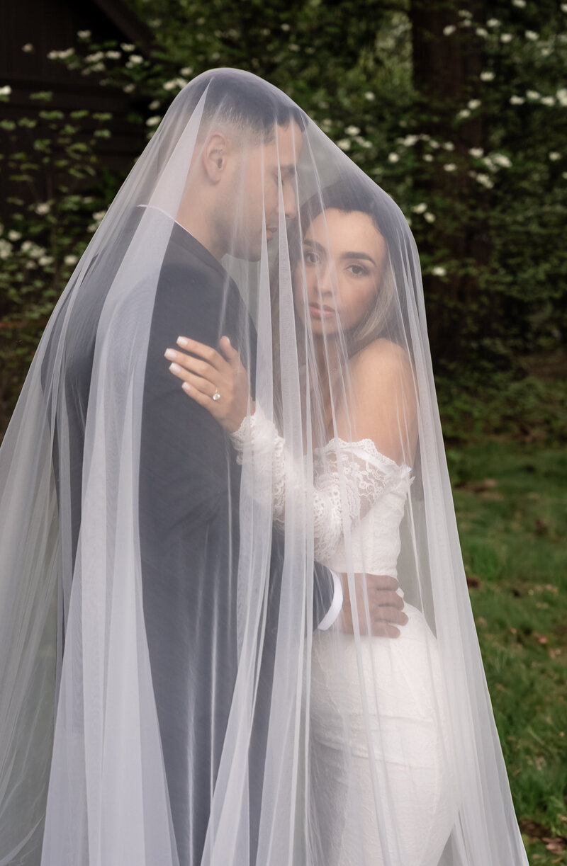 Yosemite by Honey I Do6