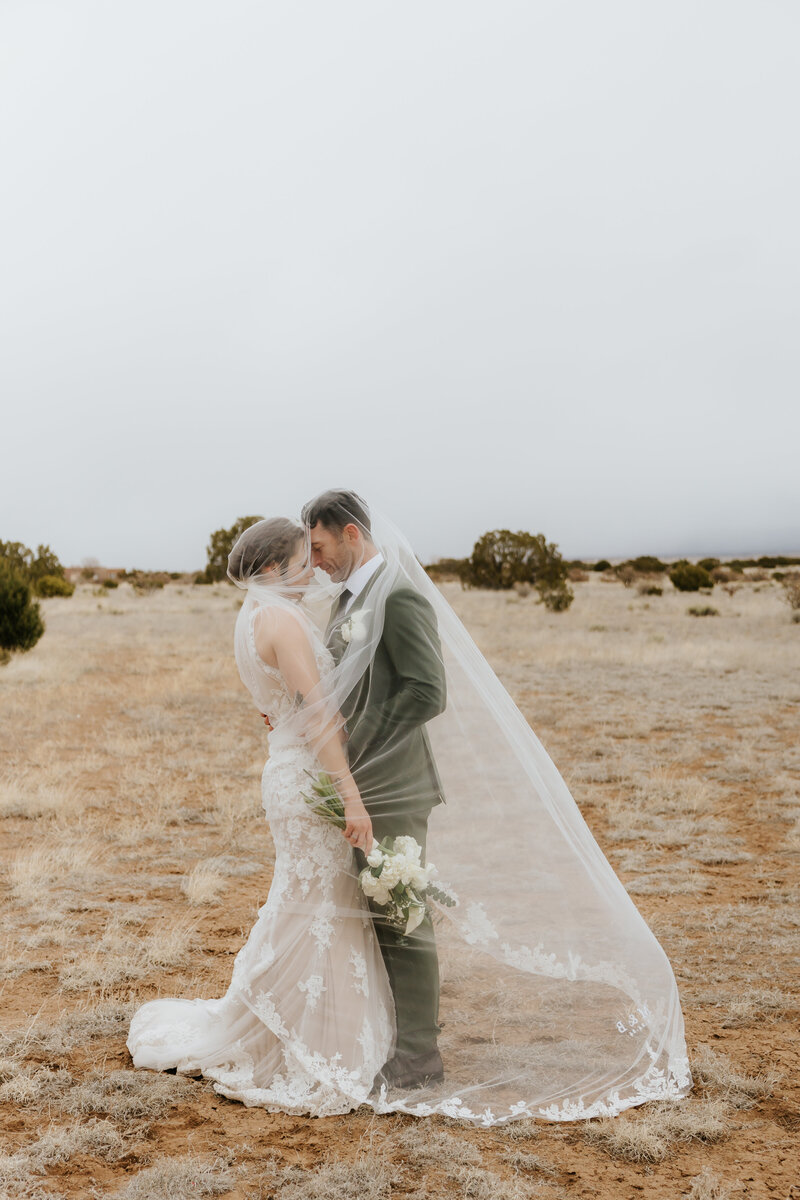 bride and groom in a field with veil over them kissing