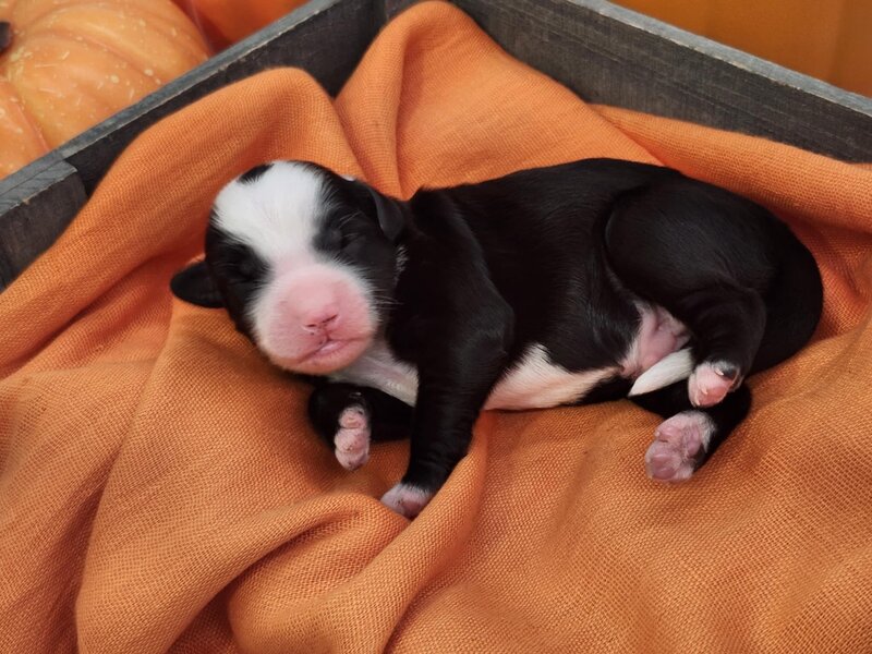 b3c62b7d-604c-4202-86b6-0312c0f587bd