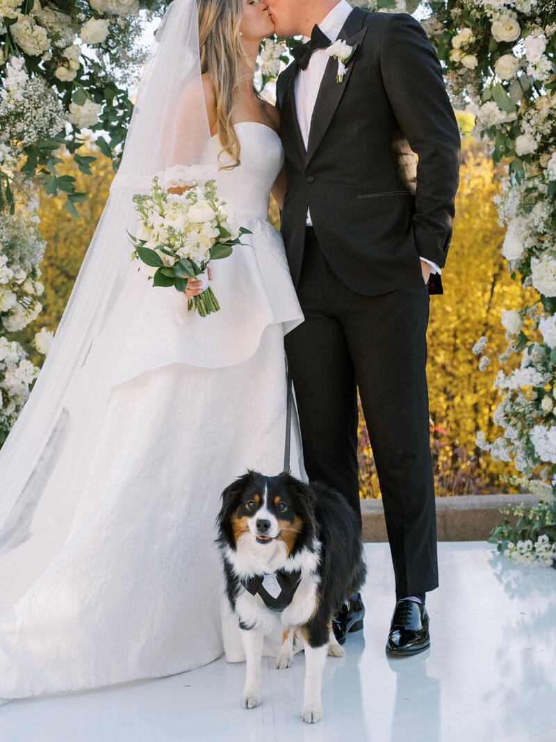 Bride and groom share a kiss at their Vail, Colorado alter with their dog by their side 