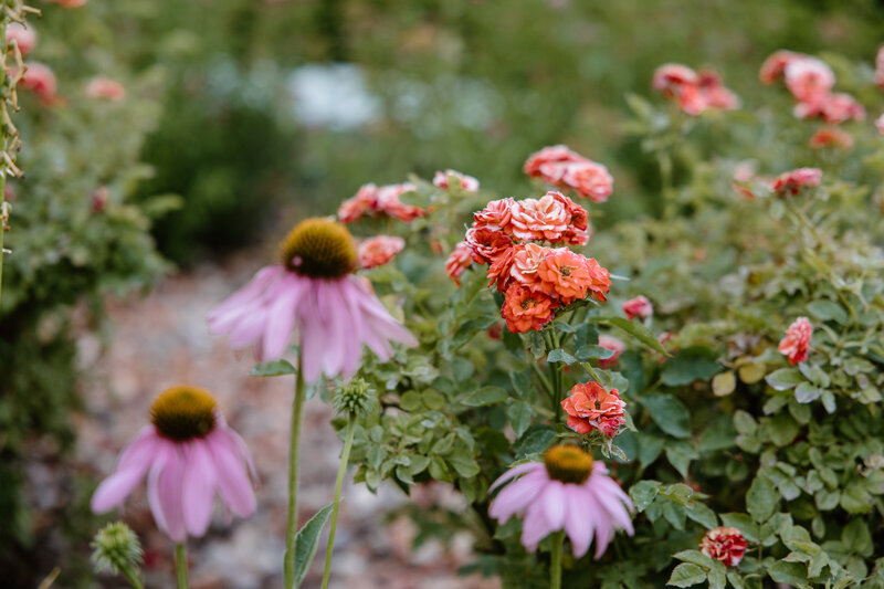 TELISABETHPHOTO.COM-0462