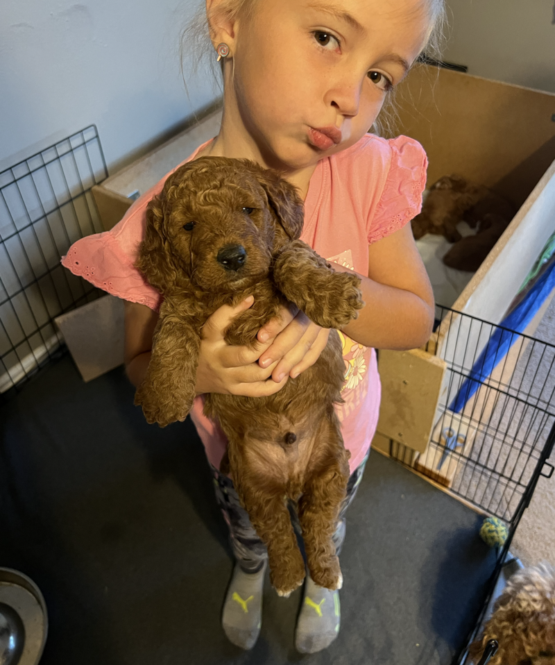 Screenshot 2024-09-13 at 7.13.08 AM