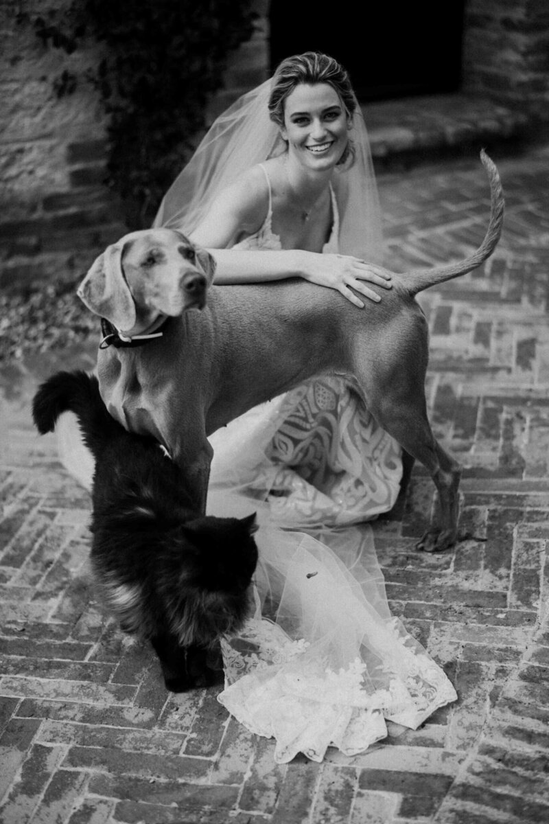 sophisticated bride portrait with dog and cat