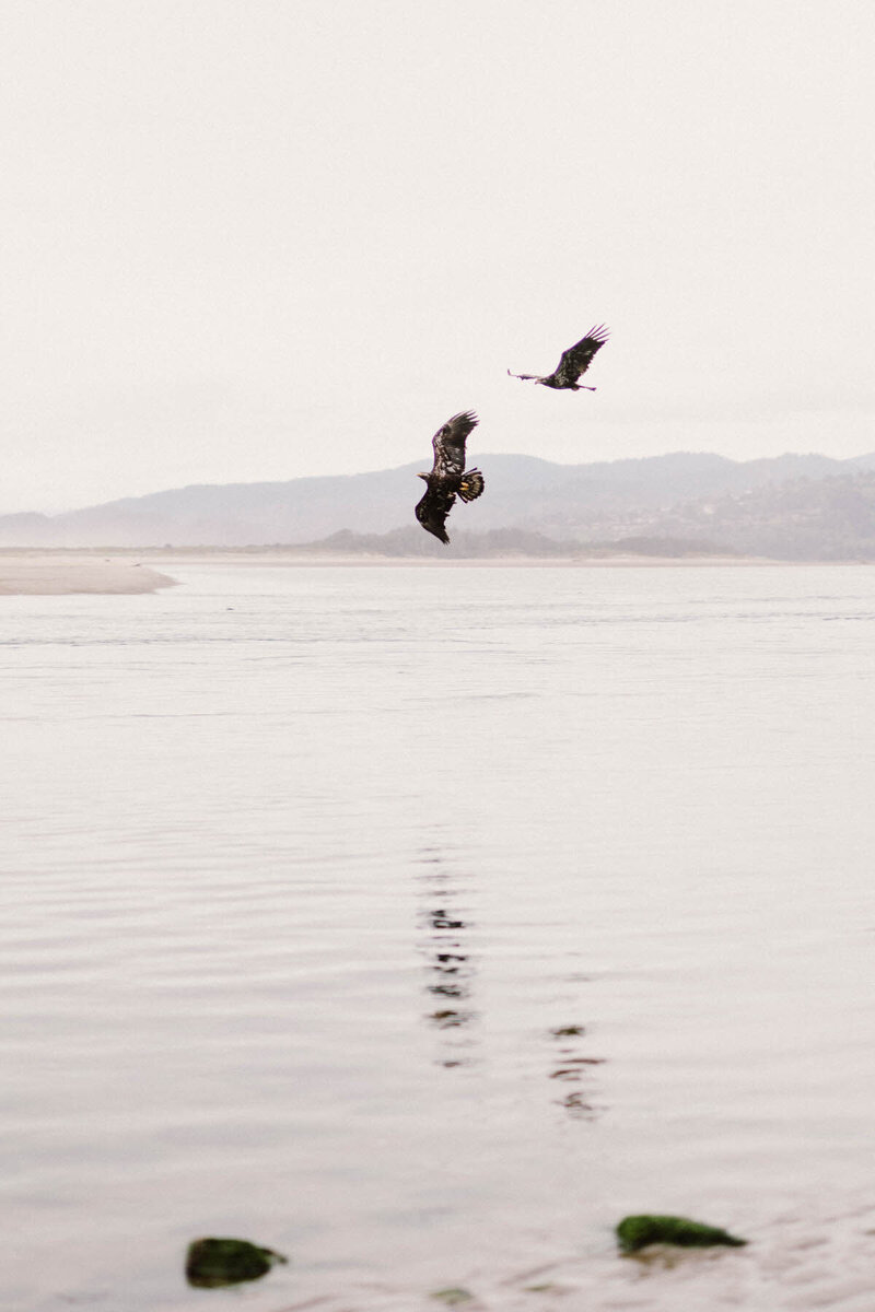 Oregon-Coast-Couples-Photography-16