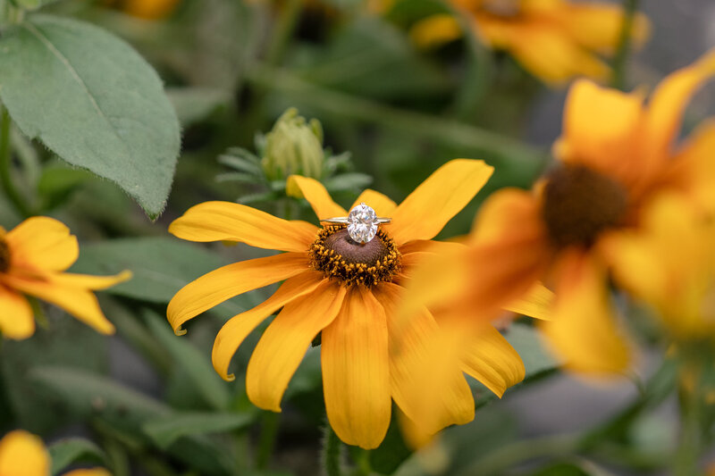 CCLittleShutterBugStudio-3625