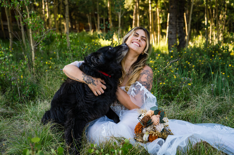 Cute dog licking Bride, fun Colorado wedding photographer
