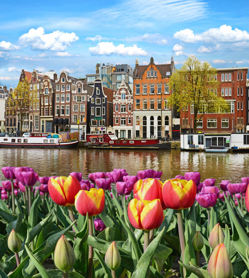 Bright tulips in the foreground with colorful traditional canal houses lining the water in the background under a partly cloudy sky.
