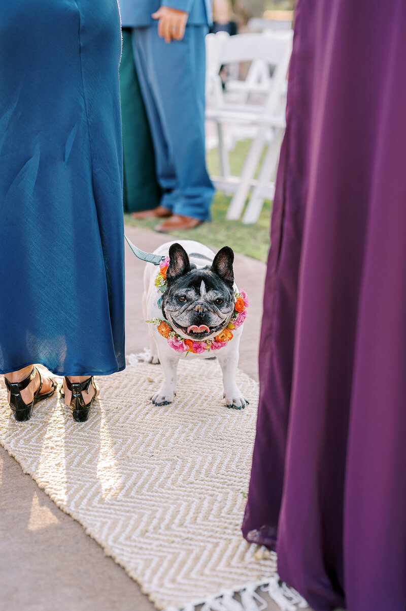 Nathanael Tenney Photography - Elise & Brandon-22