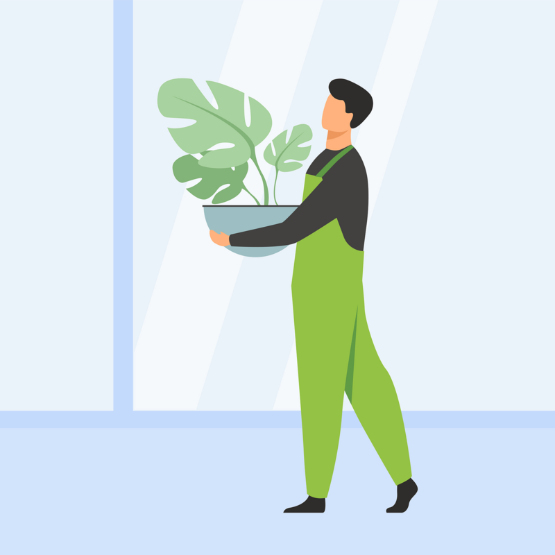 Dessin vectoriel d'un homme tenant une plante dans un pot
