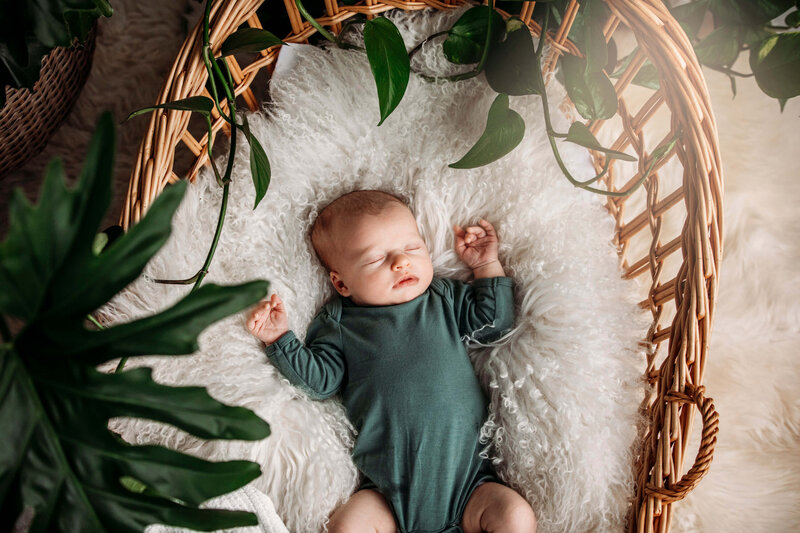 newborn baby in a moses basket surrounded by plants
