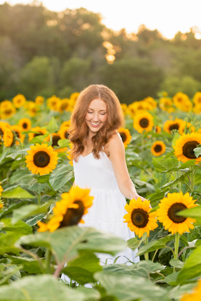 000WEB-ShimonSunflower06