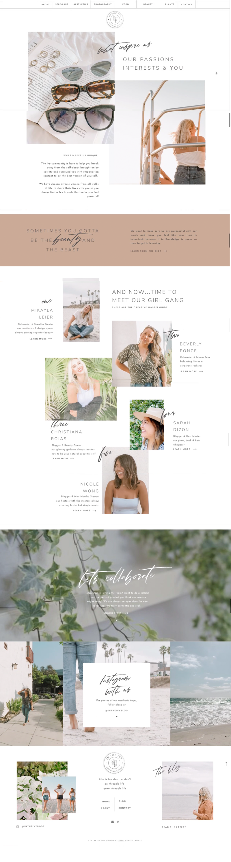 Showcasing visually stunning website design for the In The Ivy project in The Aesthetic Edit's portfolio.