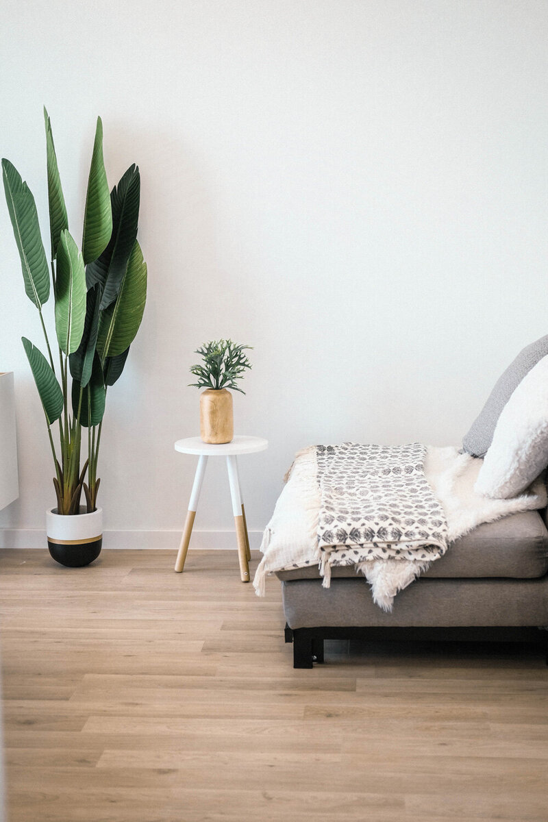 Cozy living room with indoor plants and a throw blanket