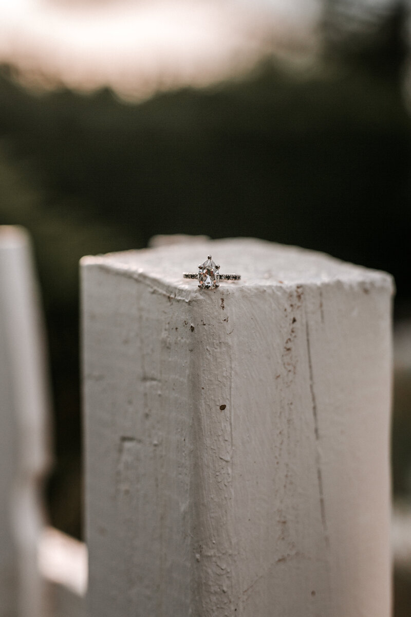 Sabrina_Sebastian_Engagement_Session_6.21.18-566