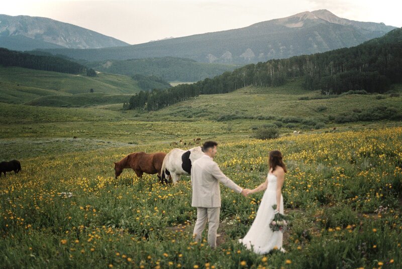 karleigh-and-jake-crested-butte-wildflower-elopement-on-35mm-film-17