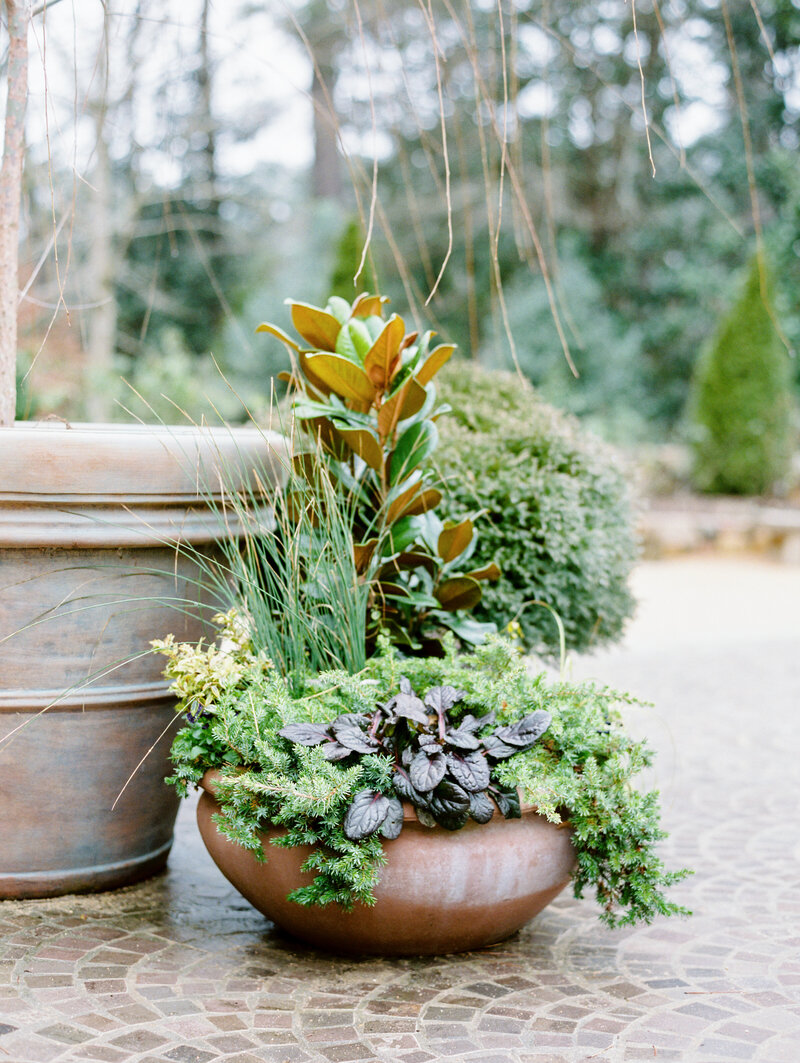 raleigh_film_engagement_photographer_dukegardens_caseyrosephotography_katiedavid_025