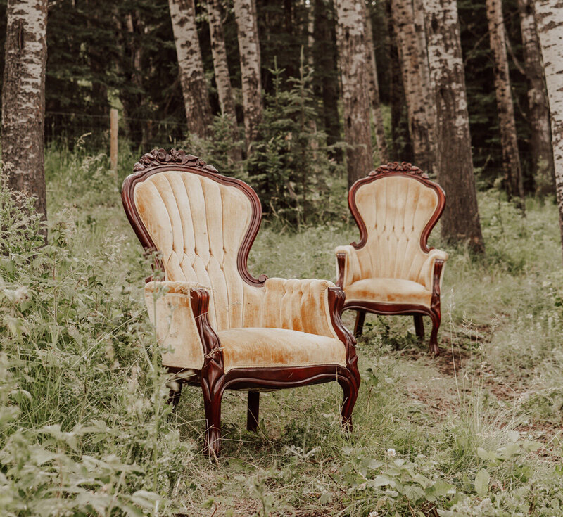 Alice victorian chairs 3-Rori Ranch Rentals