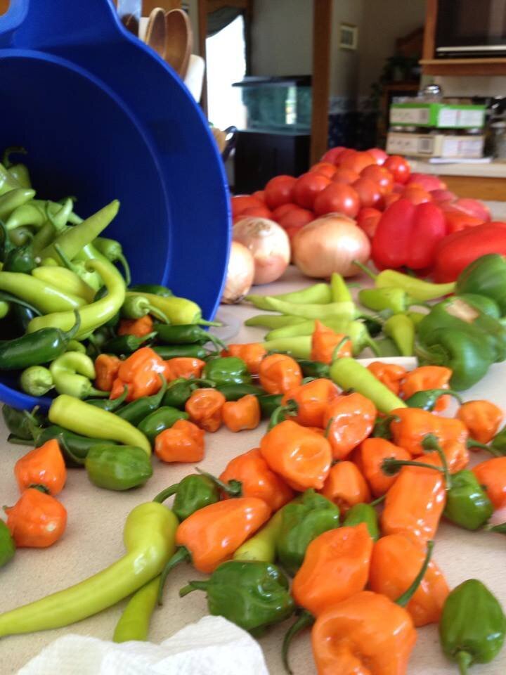 home-raised-vegetables