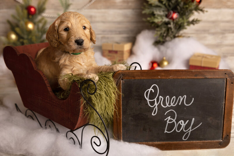 Green_male