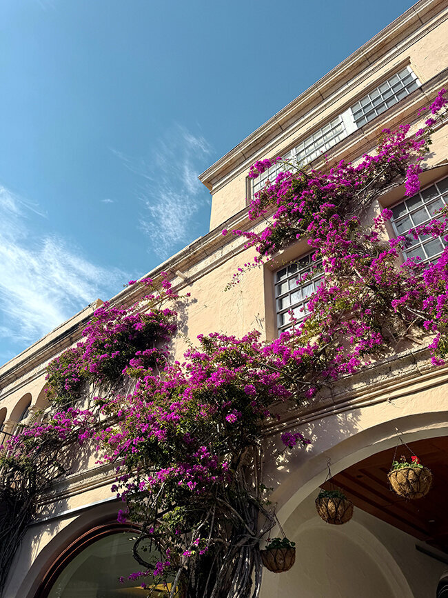 Blog Category: Florida