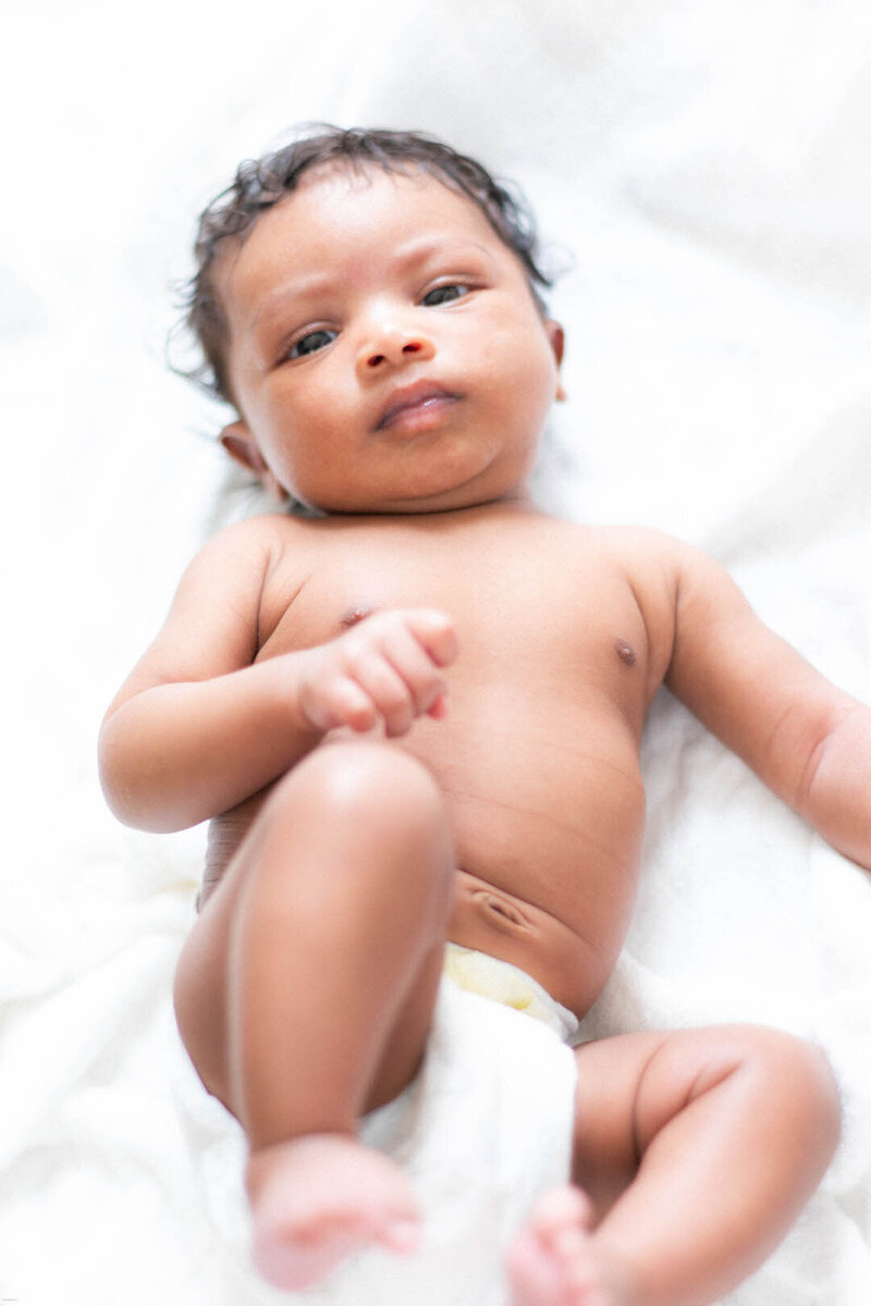 newborn baby portrait birds eye view