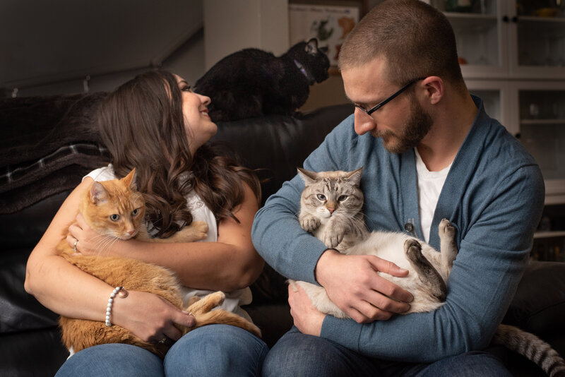  A couple sits closely together on a black leather couch, each holding a cat. The woman, wearing a white top and jeans, cradles an orange tabby looking up at a black cat on the back of the sofa, while the man, in a blue cardigan and glasses, holds a light gray tabby. The two cats reach toward each other, nearly touching noses, as the couple looks on affectionately in a warm, cozy home setting.