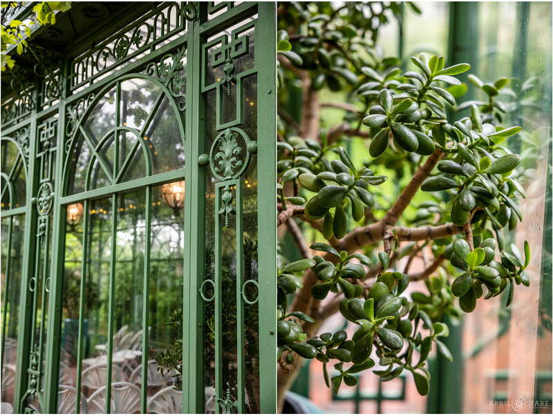 Details of the green solarium and the Jade plant inside of it at Denver Botanic Gardens