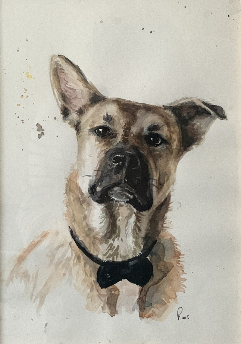 Archie
