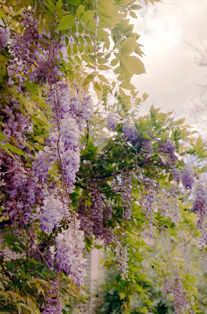 Backyard-Wedding-Portland-Jess-Buckley-Photo-49