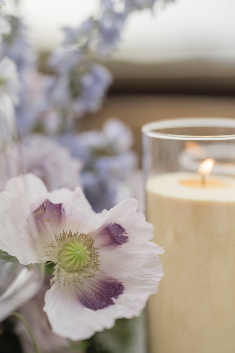 montage-deer-valley-0769