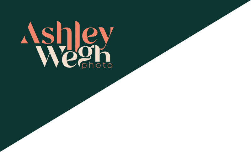 ashley-wegh-logo-landing-page