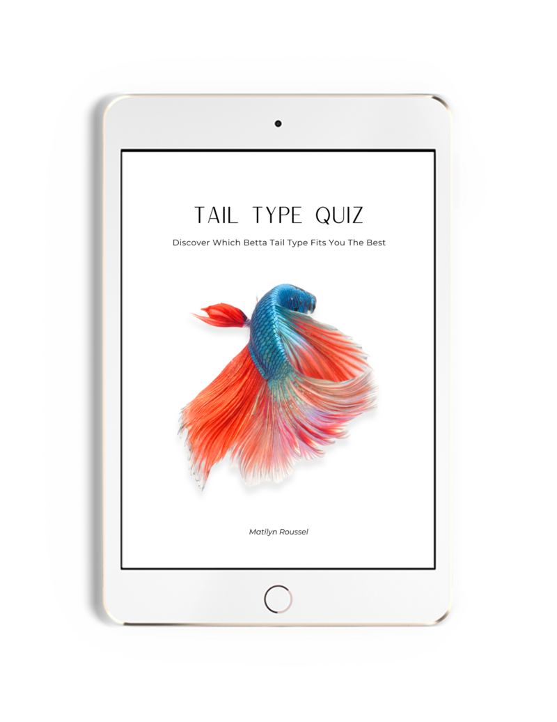 Example of the cover to a free guide offered displayed on the screen of an ipad
