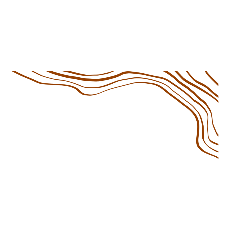 Picture of orange abstract lines illustration