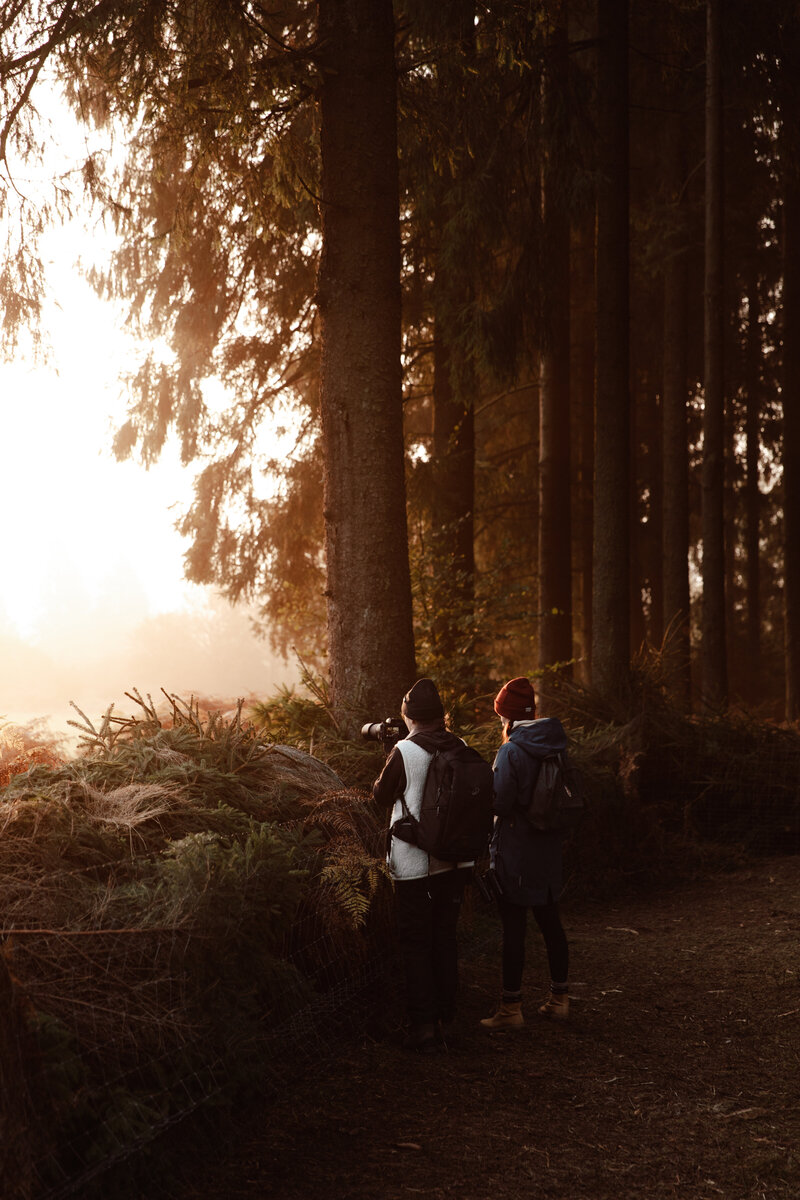 JolijnGommansPhotography_WilderlandsoftheArdennes_okt2025-6