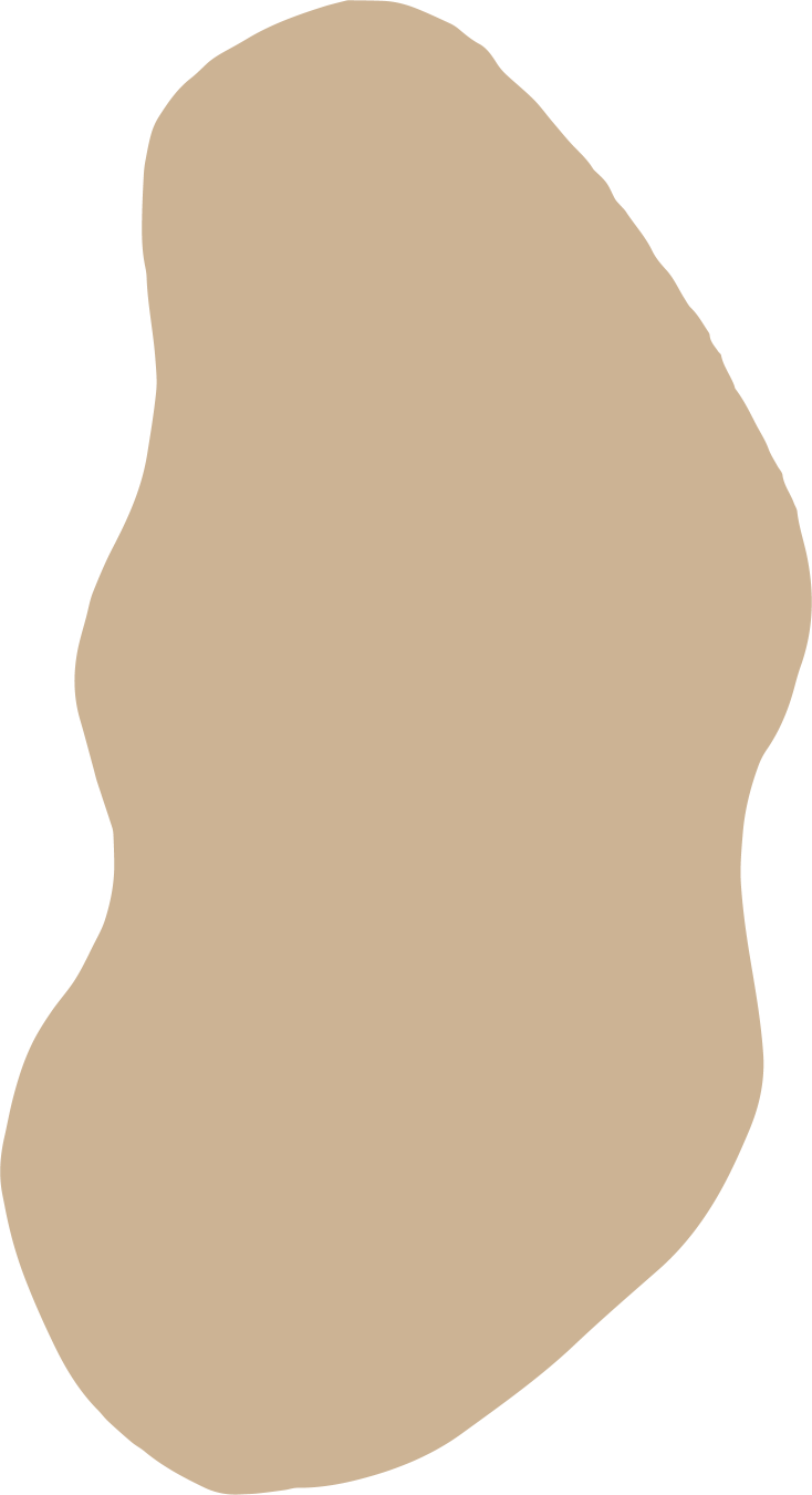 mindset coaching services