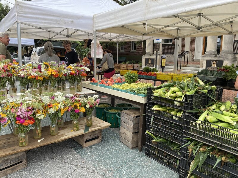 A vendor stand at the Chestertown farmers market featuring an assortment of fresh fruits, vegetables, and vibrant flowers.