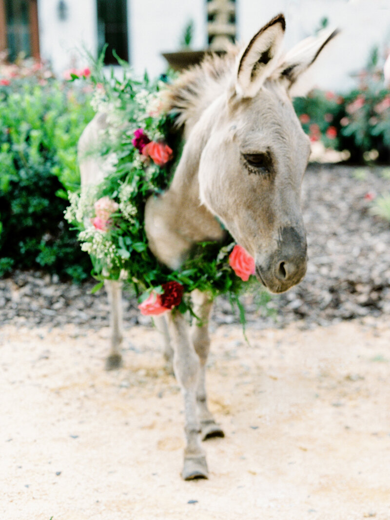 raleigh_nc_film_wedding_photographer_casey_rose_photography_c&d_events_spanishstyle_136