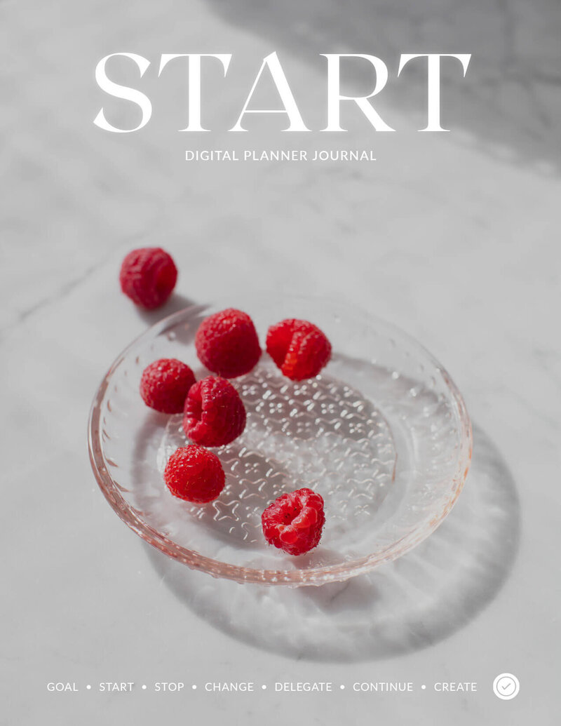 Start Stop Change Digital Planner No 04 by Click 2 Plan Digital Planners-1