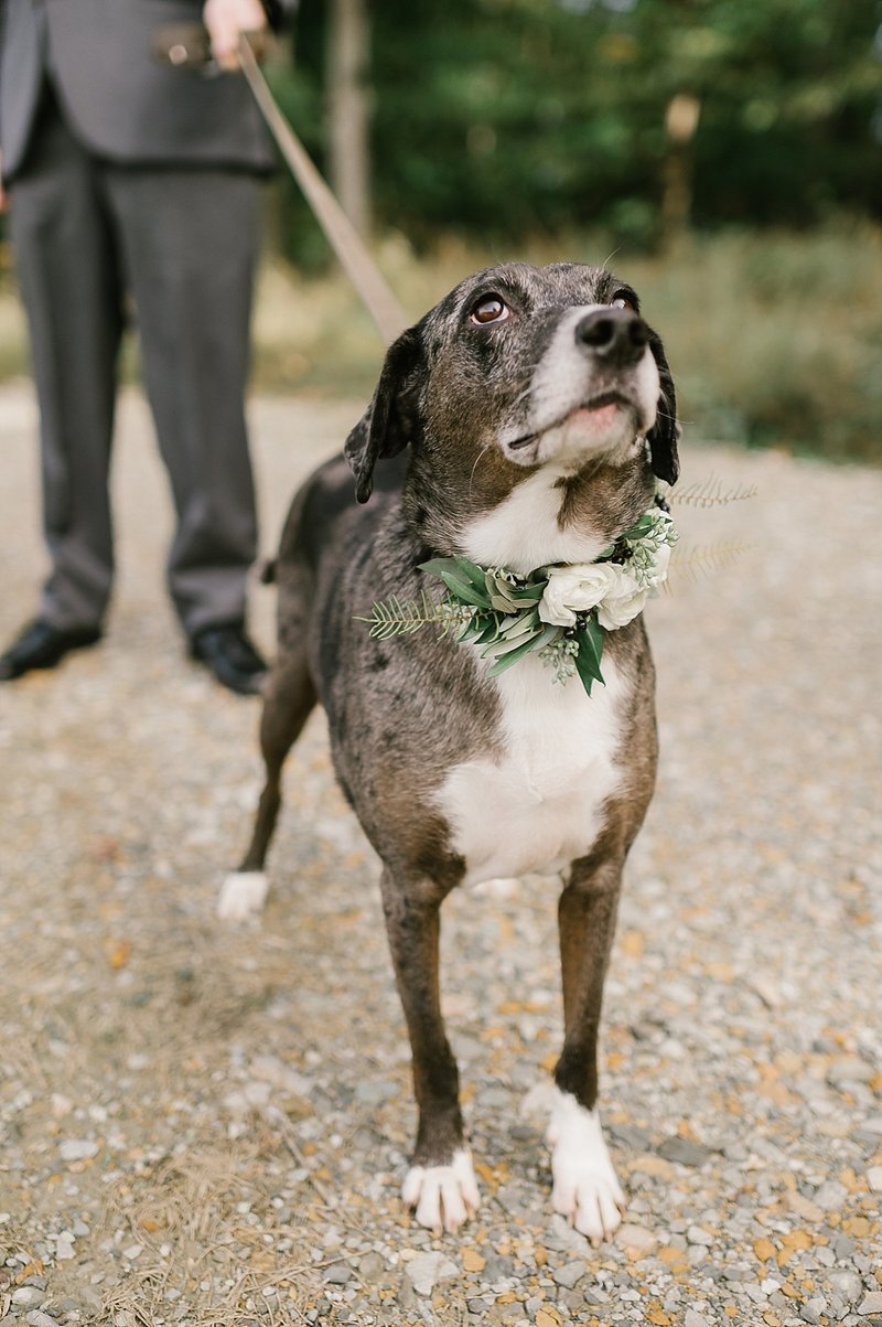 Brown_County_Indiana_The_Wilds_Wedding_Event_Venues_Blue_White_Wedding_Ideas_62