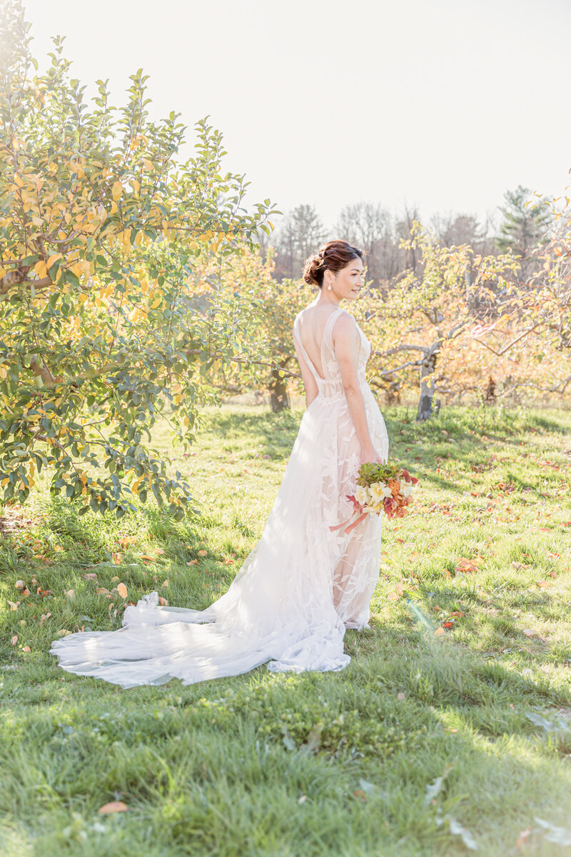 Carlson Orchards Wedding Apple Orchard Harvard MA