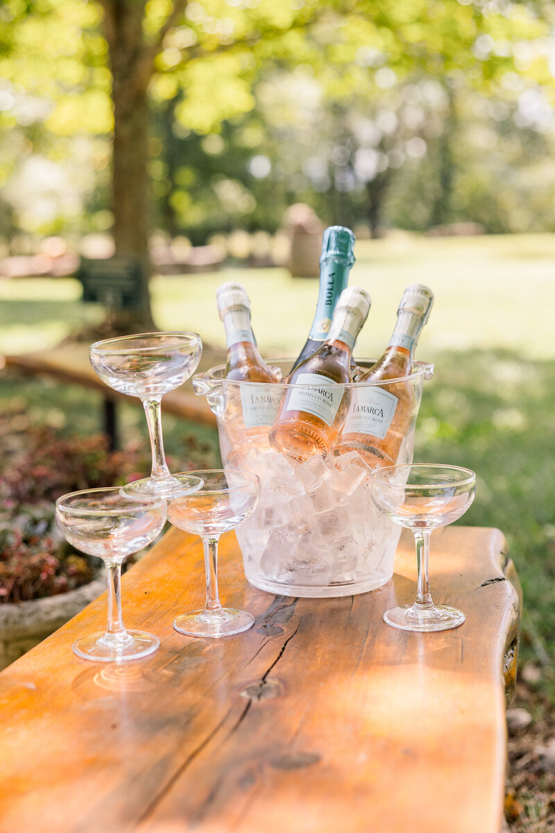 SARA AND DALTON-0081