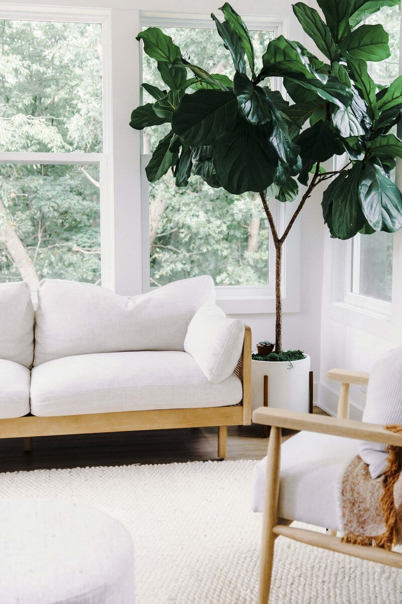 Earthy therapist office in Houston Texas